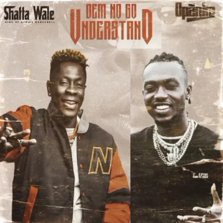 Shatta Wale  - Understand Ft. Opanka