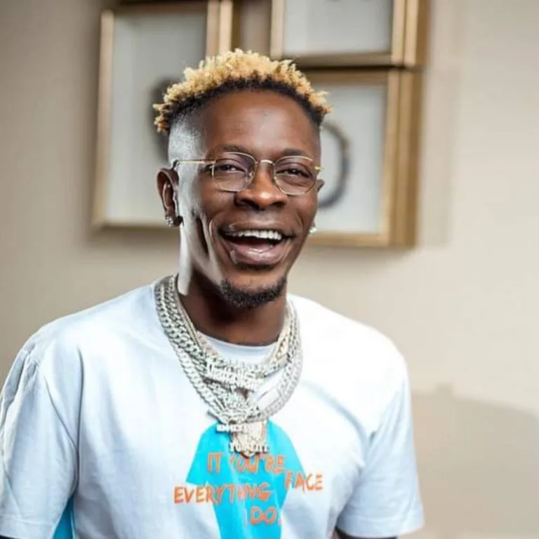 Shatta Wale - My Story