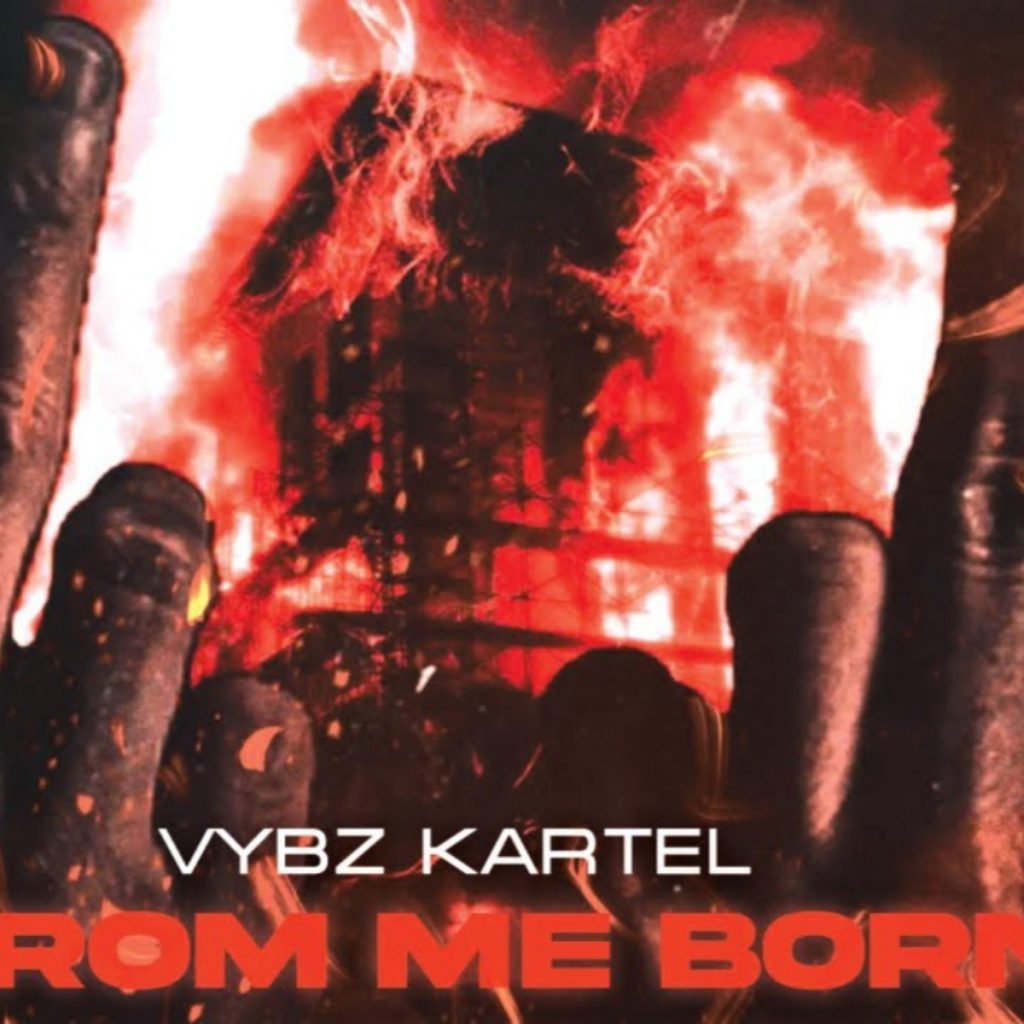 Vybz Kartel  - From Me Born