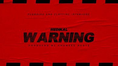 Medikal – Warning Planning And Plotting mp3 image