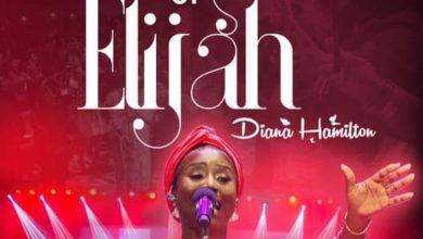 Diana Hamilton Days Of Elijah mp3 image