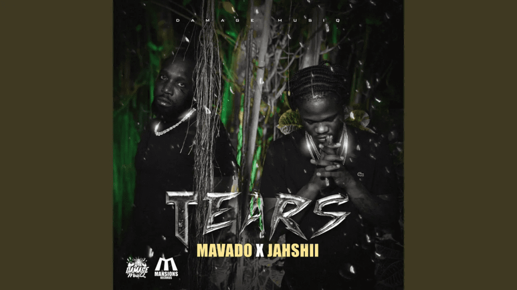 Mavado - Tears Ft. Jahshii