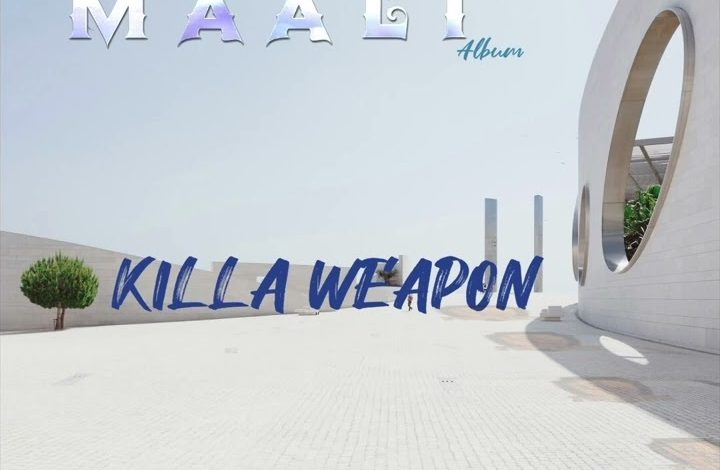 Shatta Wale Killa Weapon mp3 image