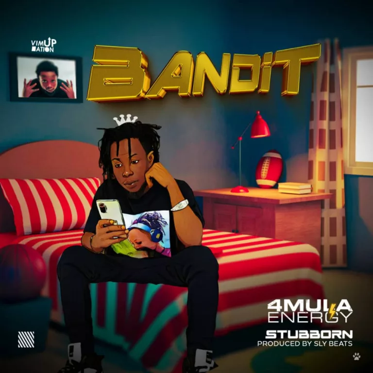 4MULA Energy -   Bandit