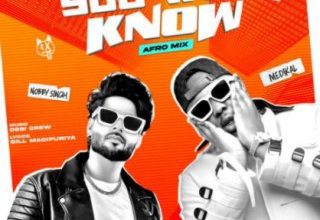 Nobby Singh – You Will Know Afro Mix Ft Medikal mp3 image