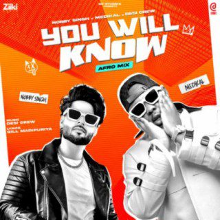 Nobby Singh – You Will Know Afro Mix Ft Medikal mp3 image