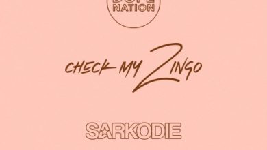 DopeNation Check My Zingo Remix Ft Sarkodie Hitz360 com mp3 image
