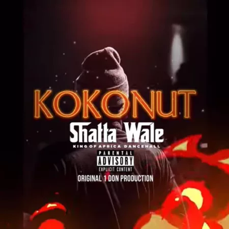 Shatta Wale – Kokonut