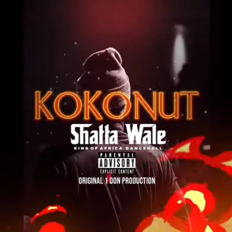 Shatta Wale – Kokonut Shatta Wale - Kokonut