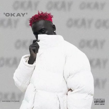 Bosom P-Yung - OKAY