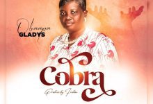 Obaapa Gladys Nipa Ye Cobra mp3 image