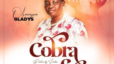 Obaapa Gladys Nipa Ye Cobra mp3 image
