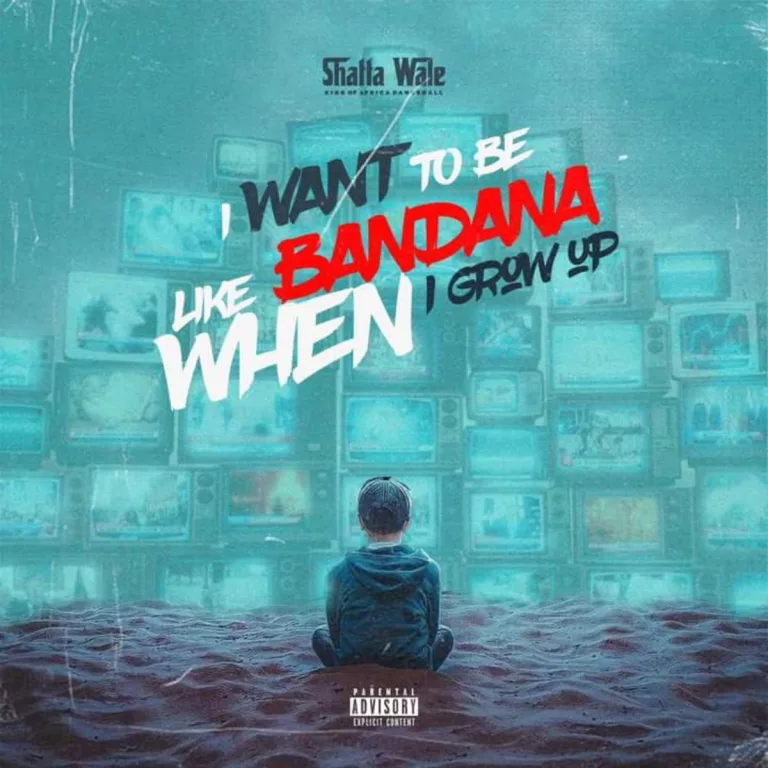 Shatta Wale - I want to be like bandana