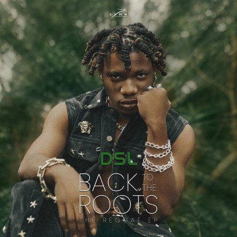 DSL – Going Down
