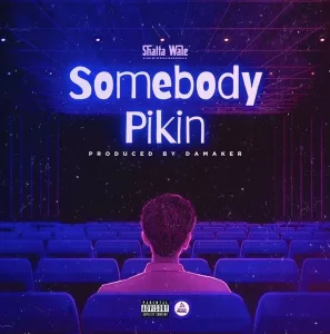 Shatta Wale &ndash; Somebody Pikin
