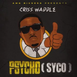 Criss Waddle &ndash; Psycho (Syco)
