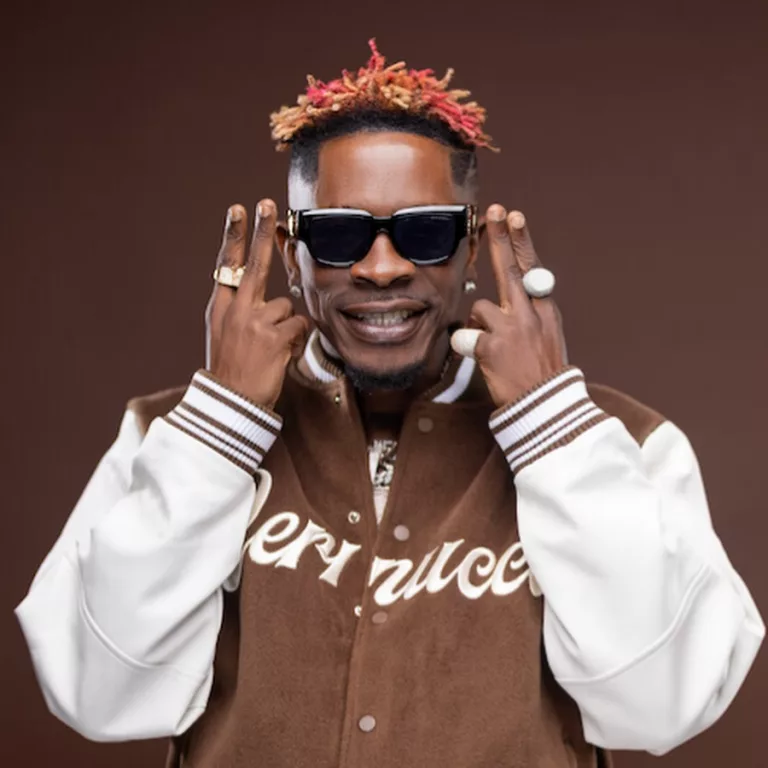 Shatta Wale - Wash