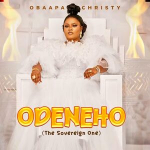 Obaapa Christy &ndash; Gyae Su Ft. Brother Sammy