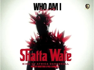 Shatta Wale – Who Am I