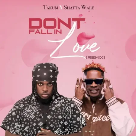 Takum – Don’t Fall in Love (Remix) Ft. Shatta Wale