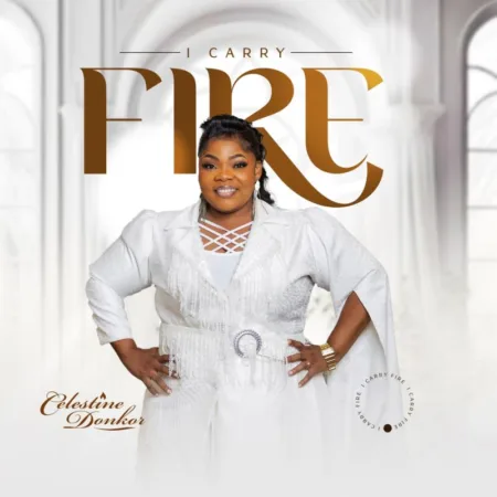 ARTWORK: Celestine Donkor - I Carry Fire