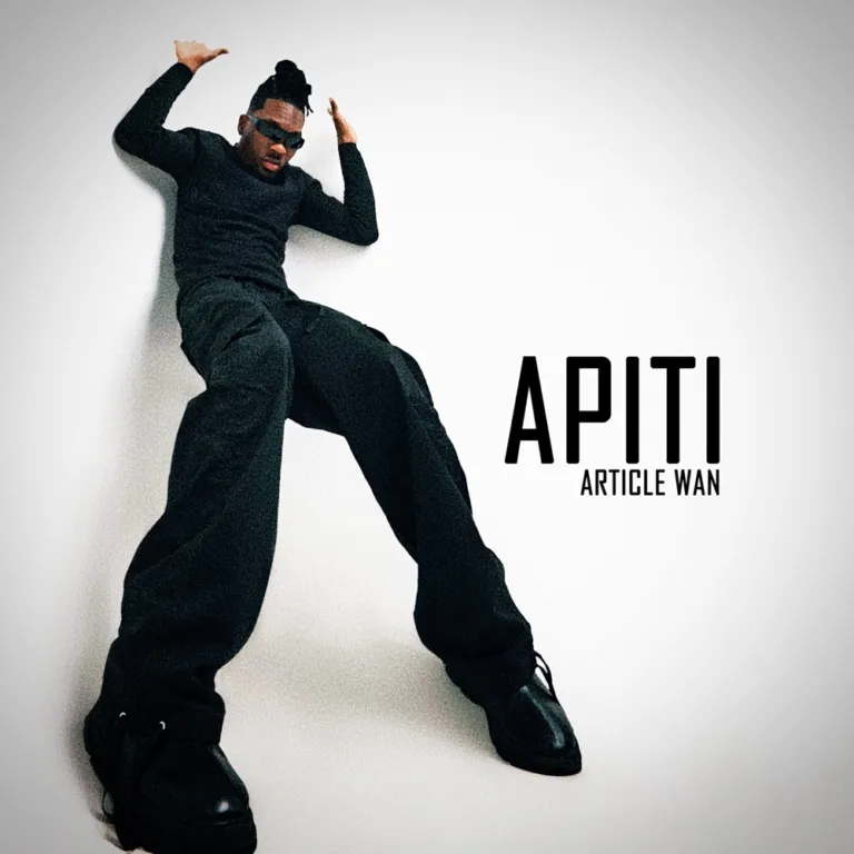 Article Wan – Apiti