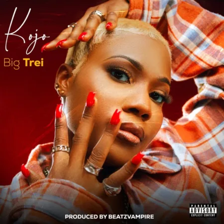 Ghanaian musician Tracy Nkrumah, known as Big Trei is out with a brand new song called "Kojo". The free MP3 download. Main Artist: Big Trei Producer: beatzvampire Producer: beatzvampire Composer: Tracy Nkrumah Lyricist: Tracy Nkrumah. play for 2:24 seconds. Listen and download it below. 