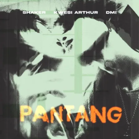 ARTWORK: Shaker - Pantang Ft. Kwesi Arthur & DMI