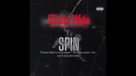 Shatta Wale – Spin