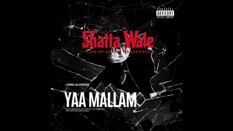 Shatta Wale – Yaa Mallam Shatta Wale - Yaa Mallam