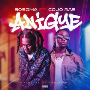 Bosoma – Anigye Ft. Cojo Rae