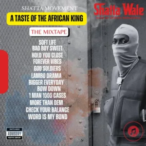 Shatta Wale &ndash; Soft Life