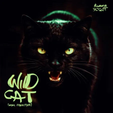 Kwame Yogot – Wildcat (WYFL Riddim)