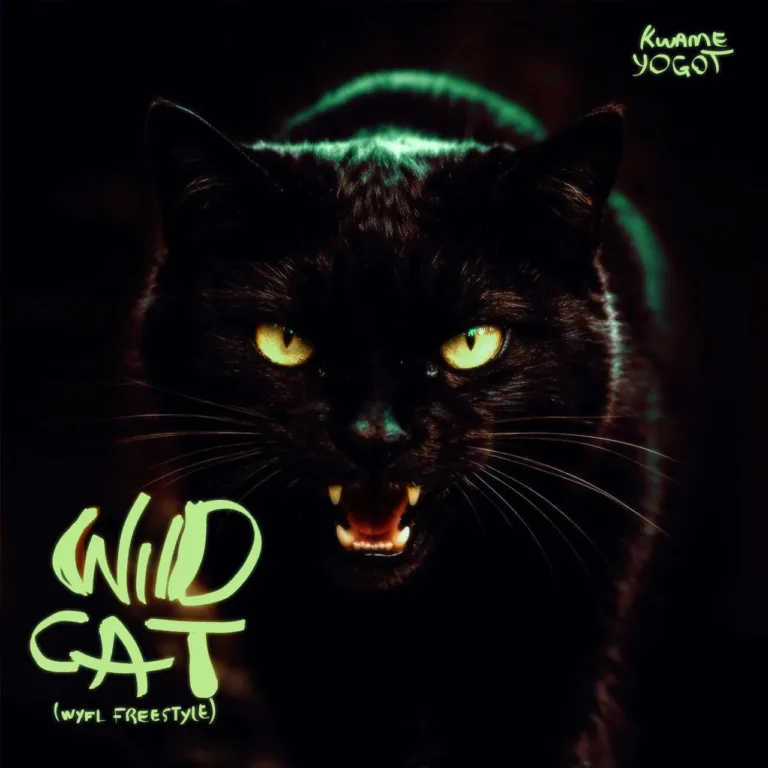 Kwame Yogot – Wildcat (WYFL Riddim) Kwame Yogot – Wildcat (WYFL Riddim)
