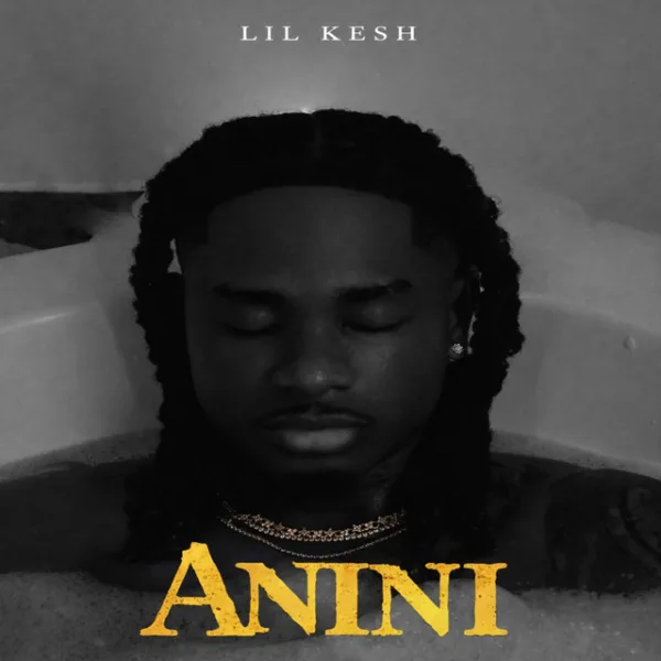 Lil Kesh – Anini (Thief) Lil Kesh – Anini (Thief)