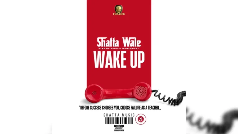 Shatta Wale - Wake Up