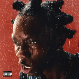 Blaqbonez &ndash; FINE SHYT ft. Tml Vibez