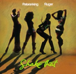 Patoranking - Shake That ft. Ruger