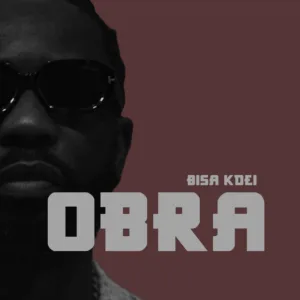 Bisa Kdei – Obra