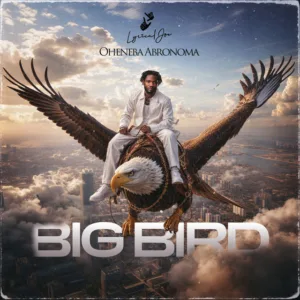 Lyrical Joe – Oheneba Abronoma (Big Bird)