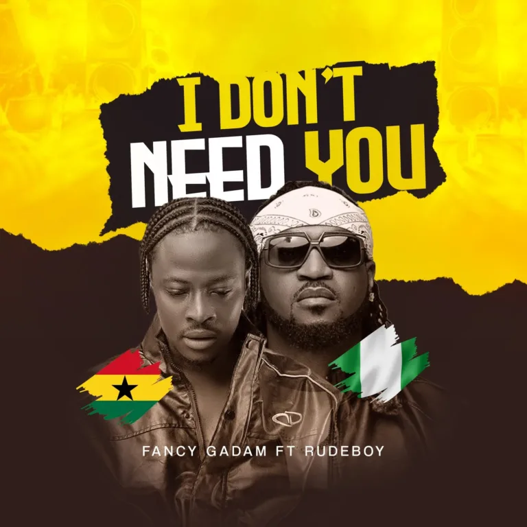 I Don't Need You Ft. Rudeboy by Fancy Gadam