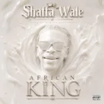 Shatta Wale – No BBF