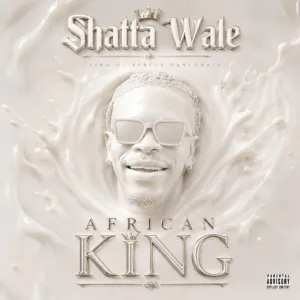 Shatta Wale &ndash; Rolls Royce To PJ