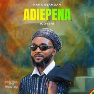 Nana Asamoah – Adiepena