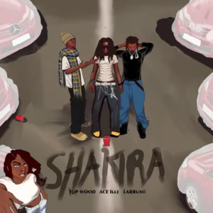 Top Wood – SHAKIRA ft. ACE ILLY & Larruso