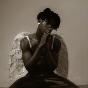 AratheJay – Wings