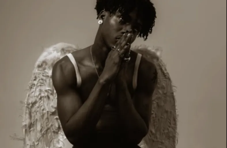 AratheJay - Wings