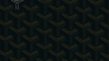 Mavo - Goyard